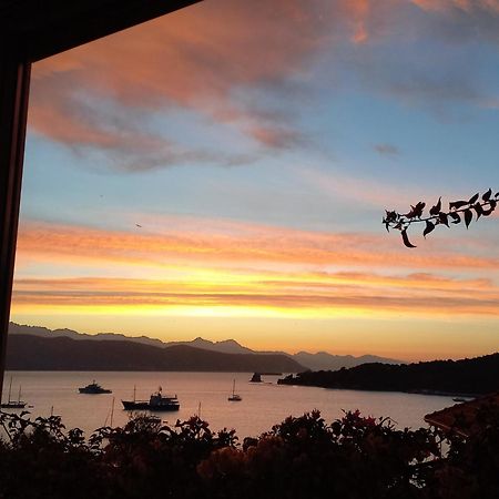 Casa Vacanze Ibiscus 韦内雷港 外观 照片